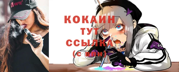 твердый Магас