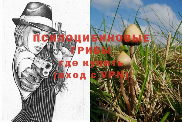 твердый Магас