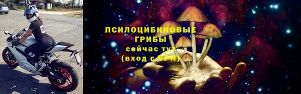 дмт Майский