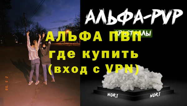 твердый Магас