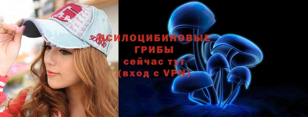 твердый Магас