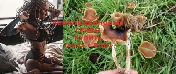 спайс Магадан