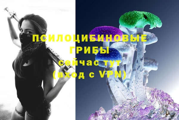 спайс Магадан