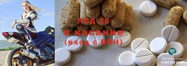 твердый Магас