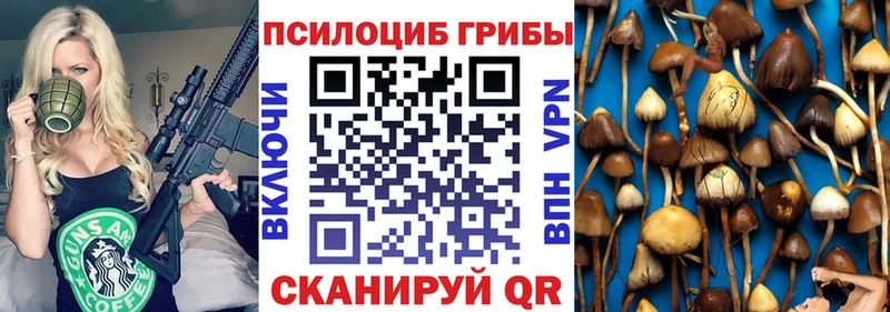 Псилоцибиновые грибы мухоморы купить наркотик Ялта
