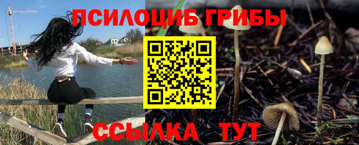 Ялта  Псилоцибиновые грибы Cubensis  Вход с VPN  Галлюциногенные грибы MAGIC MUSHROOMS 