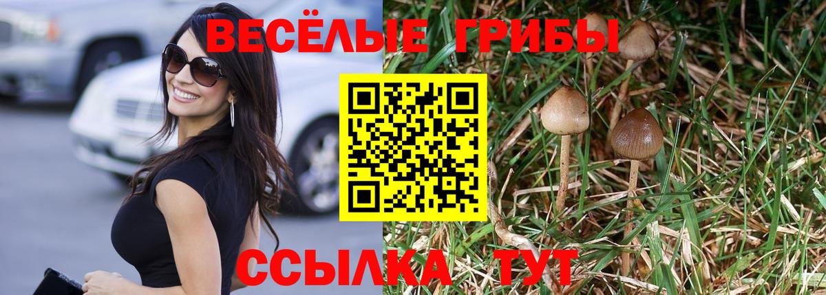 Псилоцибиновые грибы мухоморы Ялта